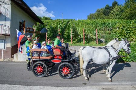 FOTO- Vinogradniki na Debelem hribu postavili klopotec 6